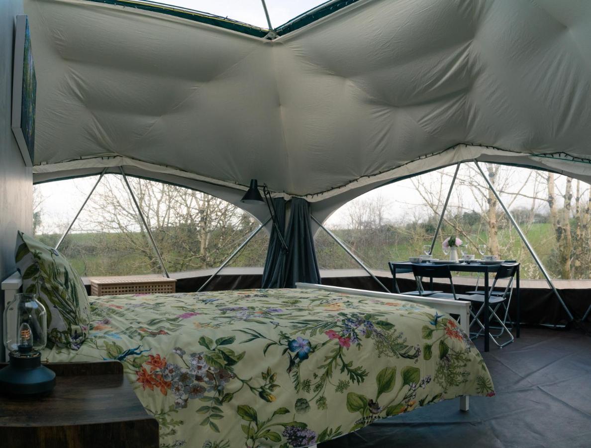Little River Glamping Ballymoney Ngoại thất bức ảnh